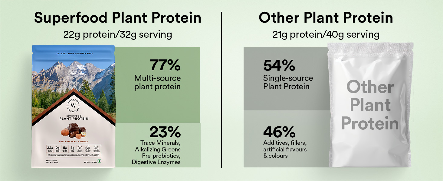Wellbeing Nutrition Organic Vegan Plant Protein Isolate | 22g Protein, 5g BCAA, 3B CFU Probiotics, Enzymes, 3g Fiber, 5 Alkalizing Greens | NO Bloating, Easy to Digest | Dark Chocolate Hazelnut 500gm