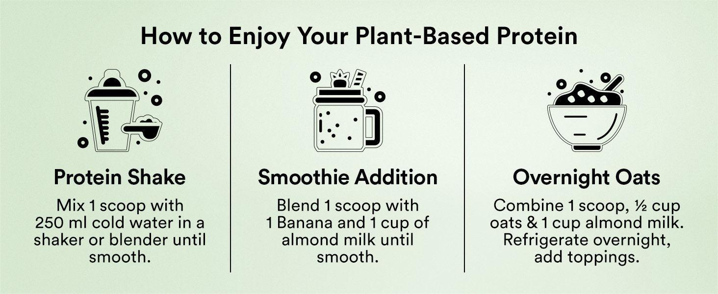 Wellbeing Nutrition Organic Vegan Plant Protein Isolate | 22g Protein, 5g BCAA, 3B CFU Probiotics, Enzymes, 3g Fiber, 5 Alkalizing Greens | NO Bloating, Easy to Digest | Dark Chocolate Hazelnut 500gm