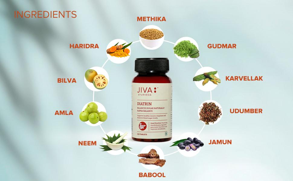 Jiva Diatrin Tablets 500mg | 100% Ayurvedic Formulation | Manages Blood Sugar Levels, Improves Metabolism & Strengthens the Pancreas | Balances Tri-Dosha- 120 Tablets (Pack of 4)
