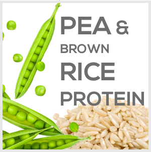 Raw Pea & Rice Protein Powder -100% Plant Protein Powder Gluten free (Unflavoured - 1 Kg)