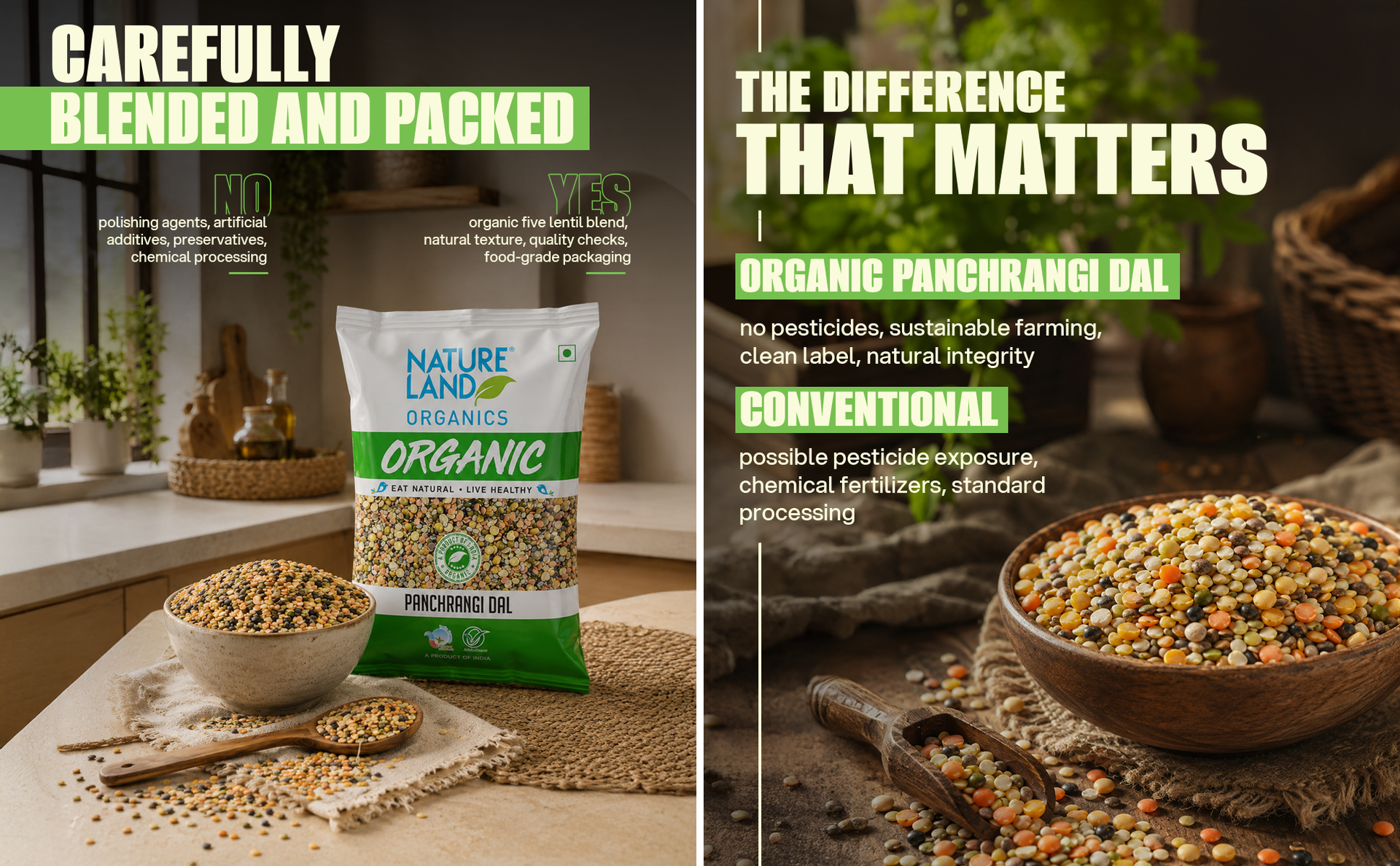 Natureland Organics Panchrangi Dal/Mix Dal 500 Gm - Organic Healthy Pulses