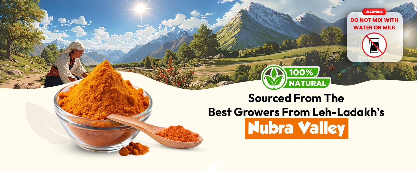 Wellwith Himalayan Sea Buckthorn Dry Berry Skin Powder(100gm.Pack of 3) | Rich in Omega |Vitamin C, Vitamin E | Dry Sea Buckthorn Berry Powder