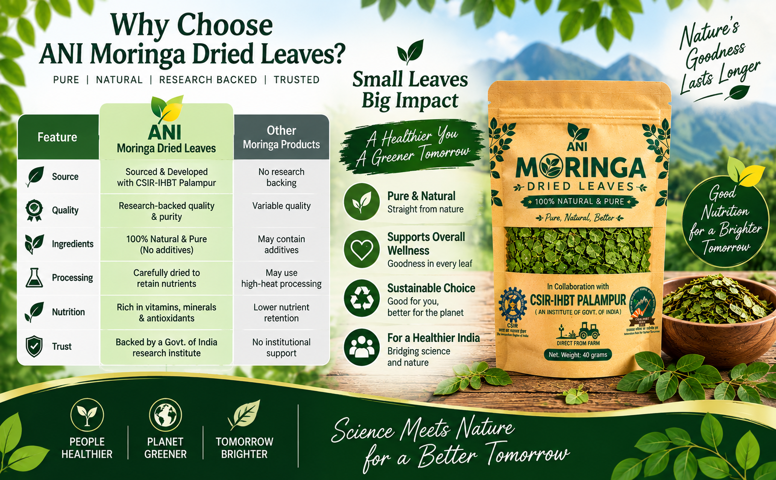 ANI Natural Moringa Dried Leaves 40g | Natural Herbal Leaf – Energy, Detox & Wellness Support | In Association with CSIR -IHBT, Palampur (An Institute of Govt. of India)