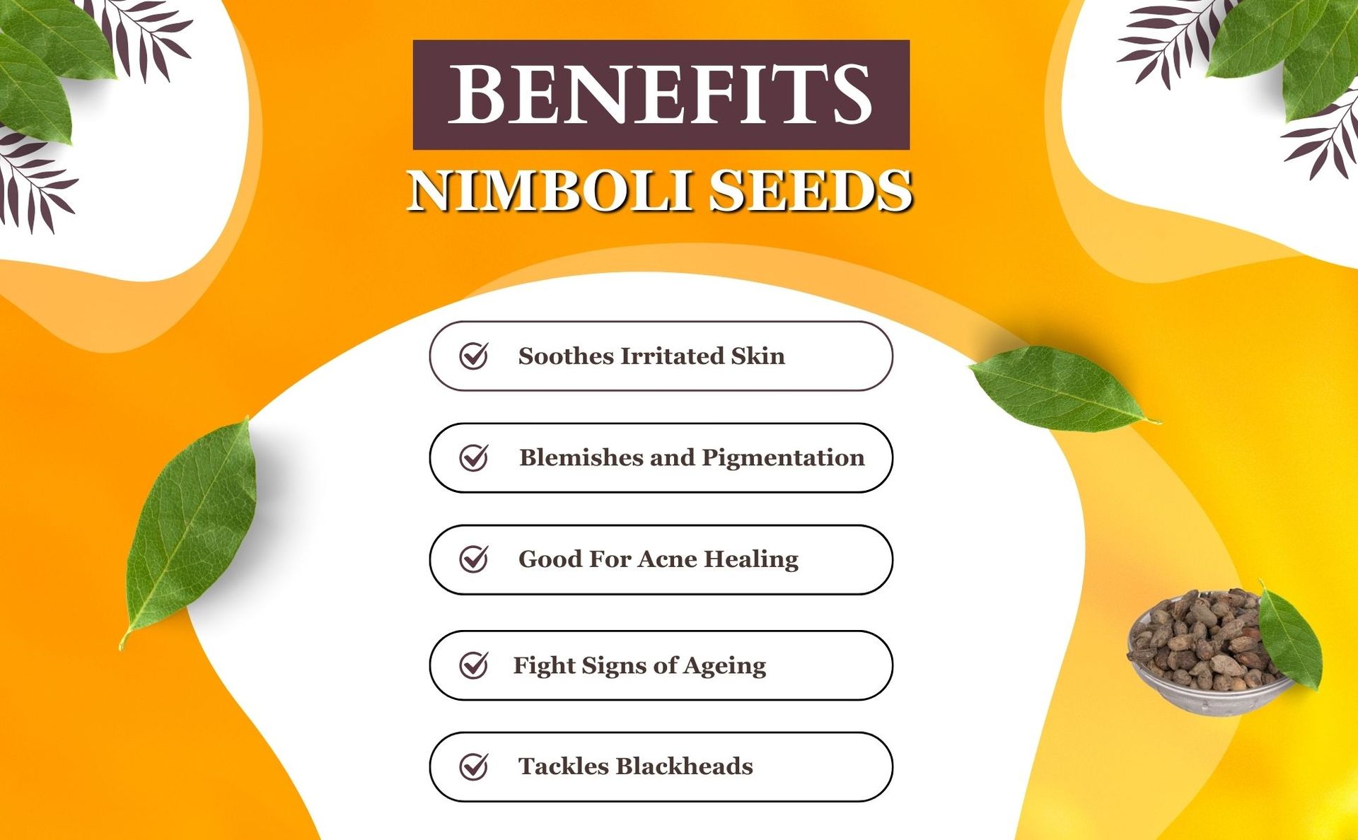 Birju Mahavir 100 GR NEEM SEEDS - NEEM NIBOLI SABUT