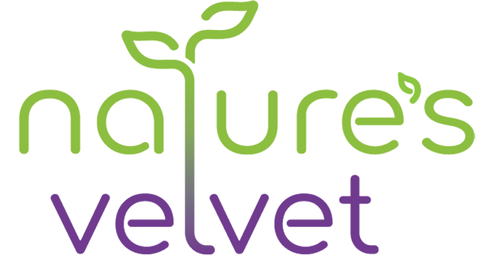 Natures Velvet Lifecare 500 mg Arjuna Pure Extract Tablet - 60 Capsules (Pack of 1)