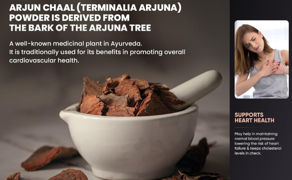 Arjuna Capsules 500mg Capsules, Natural, 120 count