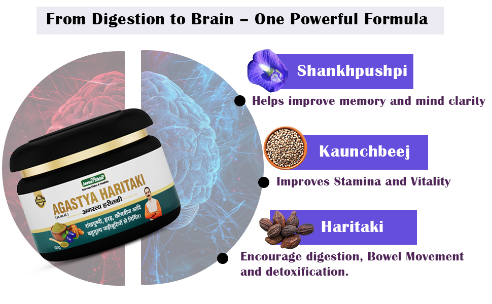 Jeena Sikho Agastya Haritaki | Herbal Supplement For Body Detox And Wellness | Naturally Blended With Haritaki | Ayurvedic Powder For Good Respiratory & Digestive Health, 100gm