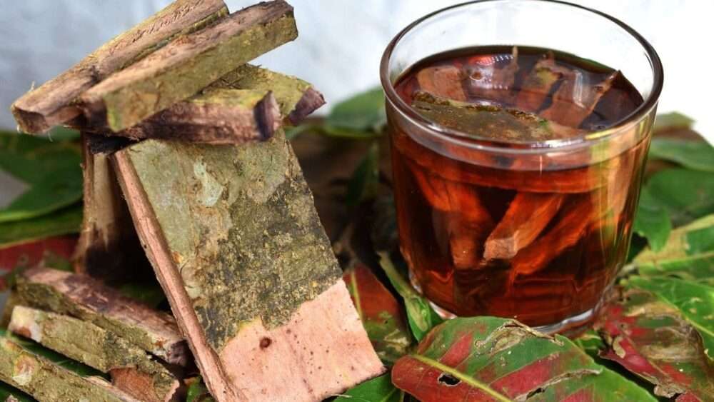 Namo - Arjun ki Chaal – 400g Arjuna Bark – To Support Heart Health & Promote Good Cholesterol | Ayurvedic Heart Health Support | Natural, Sun-Dried, Unprocessed |