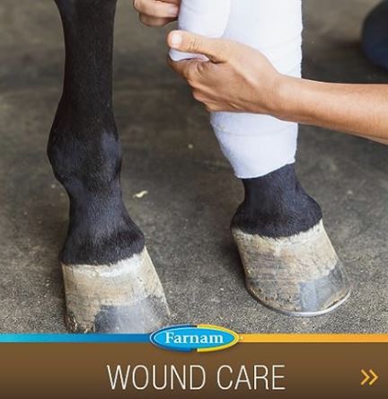 Farnam Super 14 Healthy Skin & Coat Supplement for Horses, Keeps Coats Shiny & Gleaming Year-Round 5 Pound, 80 Day Supply