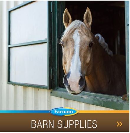 Farnam Super 14 Healthy Skin & Coat Supplement for Horses, Keeps Coats Shiny & Gleaming Year-Round 5 Pound, 80 Day Supply