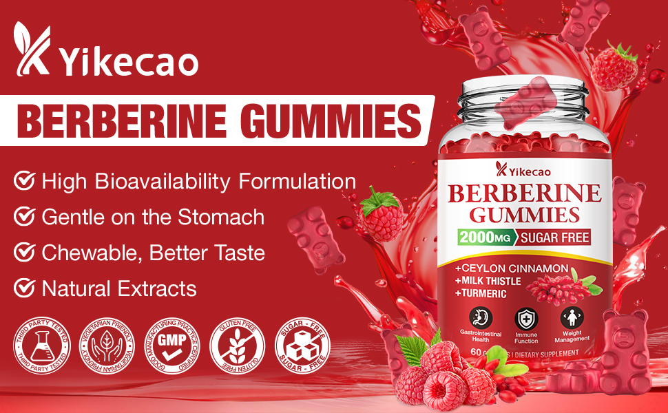 2 Pack Berberine Gummies with Ceylon Cinnamon, 2000mg Berberine HCL Supplement for Women & Men, Sugar Free, Vegan, Gluten-Free, Raspberry Flavor-120 Count