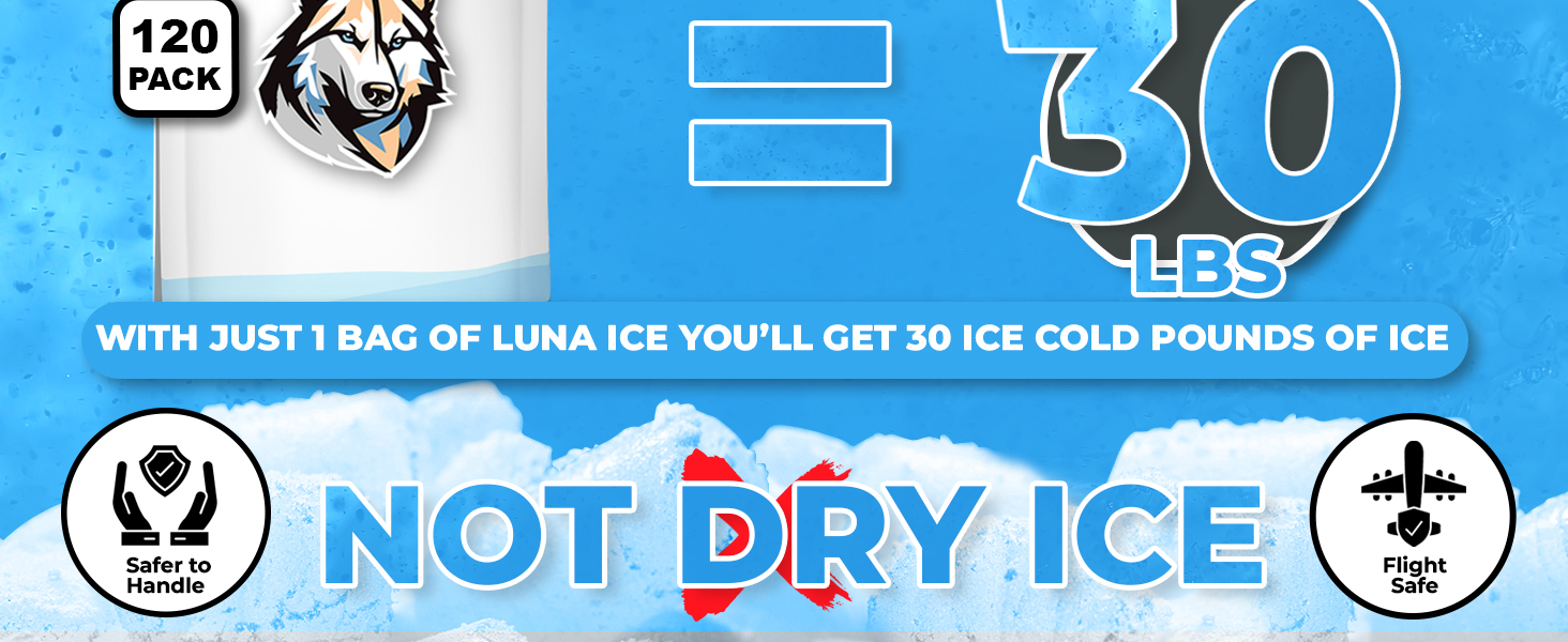 Dry Ice Packs for Shipping - Long Lasting ice Packs - 24+ Hour Freeze Power - BPA Free - 12 Pack Bulk 3 lb – Hielo Seco - Reusable Gel Bricks for Food