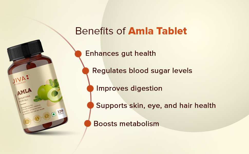 Jiva Amla Tablets 500mg 360 Tablet | 100% Pure Herbs Used, Rich In Vitamin C | Protects Against Free Radicals | Rich In Antioxidants | Improves Digestion | Enhances Vision -120 Tablet (Pack of 3)