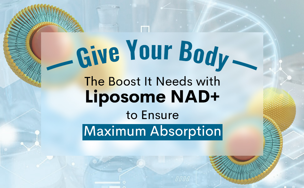 Maripolio Liposomal NAD+ 1000 mg Supplement | High Bioavailability Liposomal Delivery | Cellular Energy & Wellness Support | Pure NAD+ Dietary Supplement for Men,Women, 60 Softgels