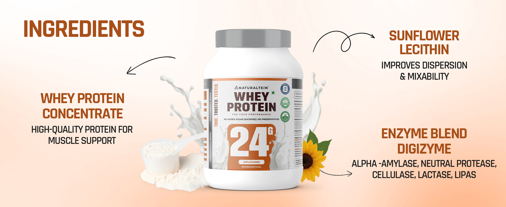 NATURALTEIN Natural Whey Max Protein – 24g Protein per Serving | Pure Unflavoured | Naturally Formulated | No Added Sugar | Non-GMO | Soy-Free & Gluten-Free | Smooth Mixability & Easy Digestion | 1 kg