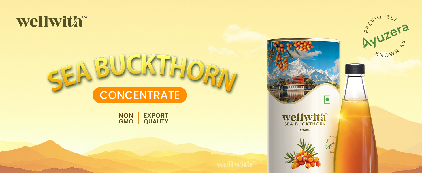 Wellwith by Ayuzera Himalayan Seabuckthorn Pulp Juice 300ml | Cold Pressed Daily Wellness Drink | Natural Vitamin C, Omegas & Antioxidants | For Immunity, Skin Radiance & Gut Wellness