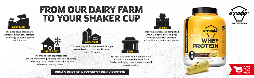 avvatar WHEY PROTEIN | 1Kg | Malai Kulfi Flavour | 28g Protein | 29 Servings | Isolate & Concentrate Blend