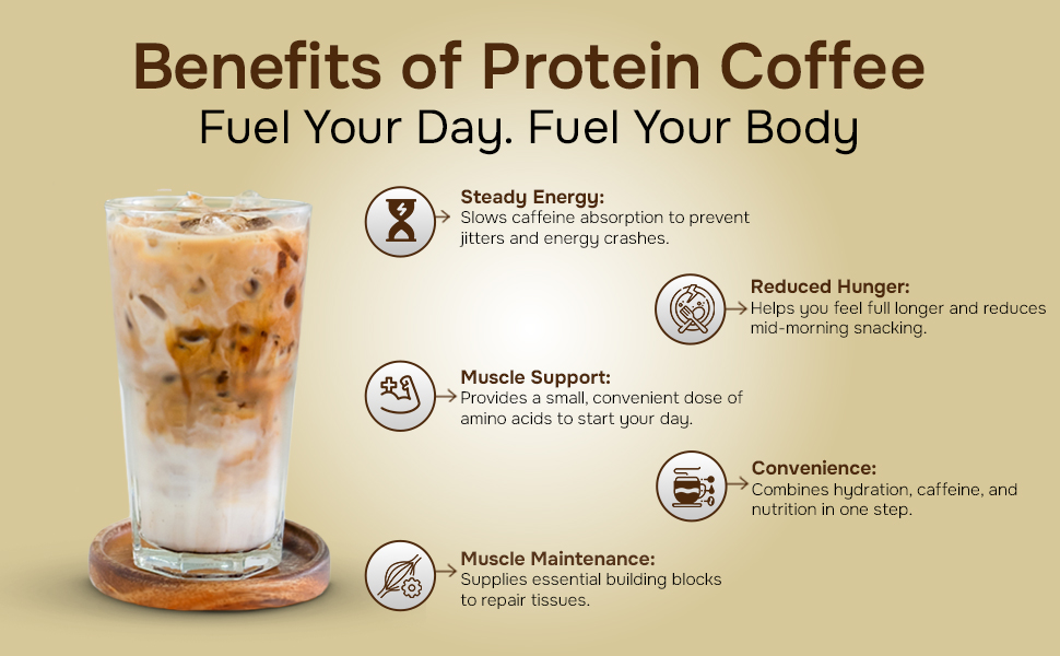 Ripped Up Nutrition Protein Coffee | Neat 10g Protein Per Scoop | Versatile Usage - A Pre-Workout or Anytime Meal Replacement Shake| (Regular, 500gm)