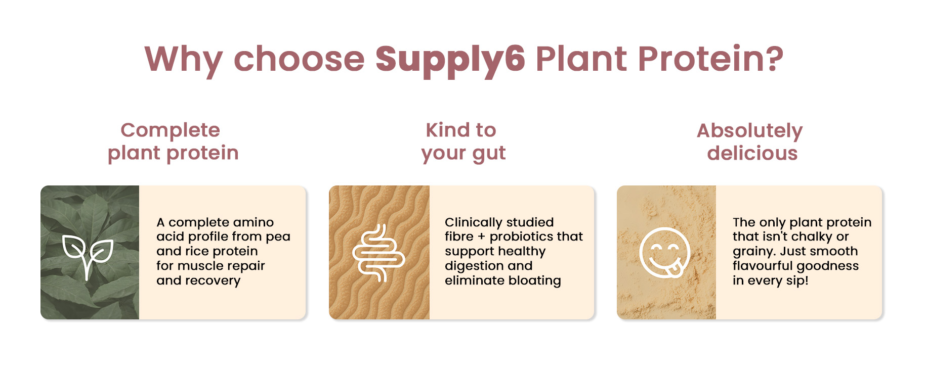 Supply6 Plant Protein | 24g Vegan Protein with Probiotics & Fibre | Complete Amino Acids | Gut-Friendly, Zero Sugar, No Chalkiness | Delicious Taste (1000g, Chocolate)