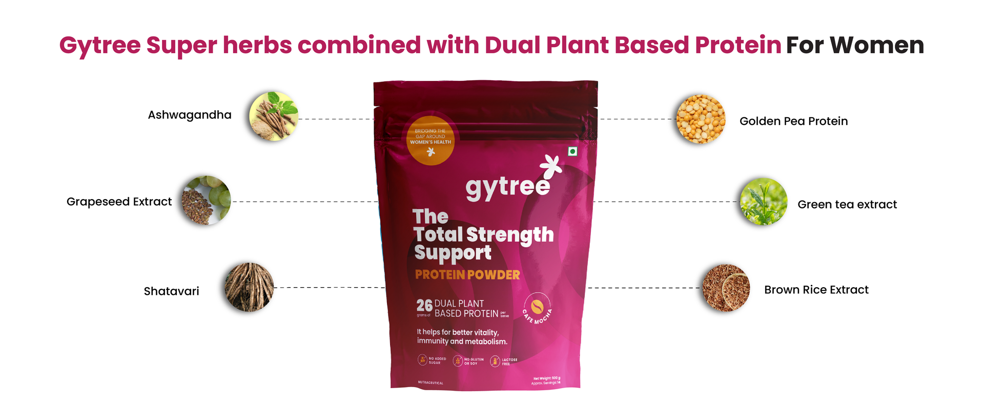 Gytree Plant Protein Powder For Women | Vegan Dual Plant-Based Protein | 26 gram per serving of Pea & Brown Rice Protein | Plant Protein for Women (Cafe Mocha, 500g)