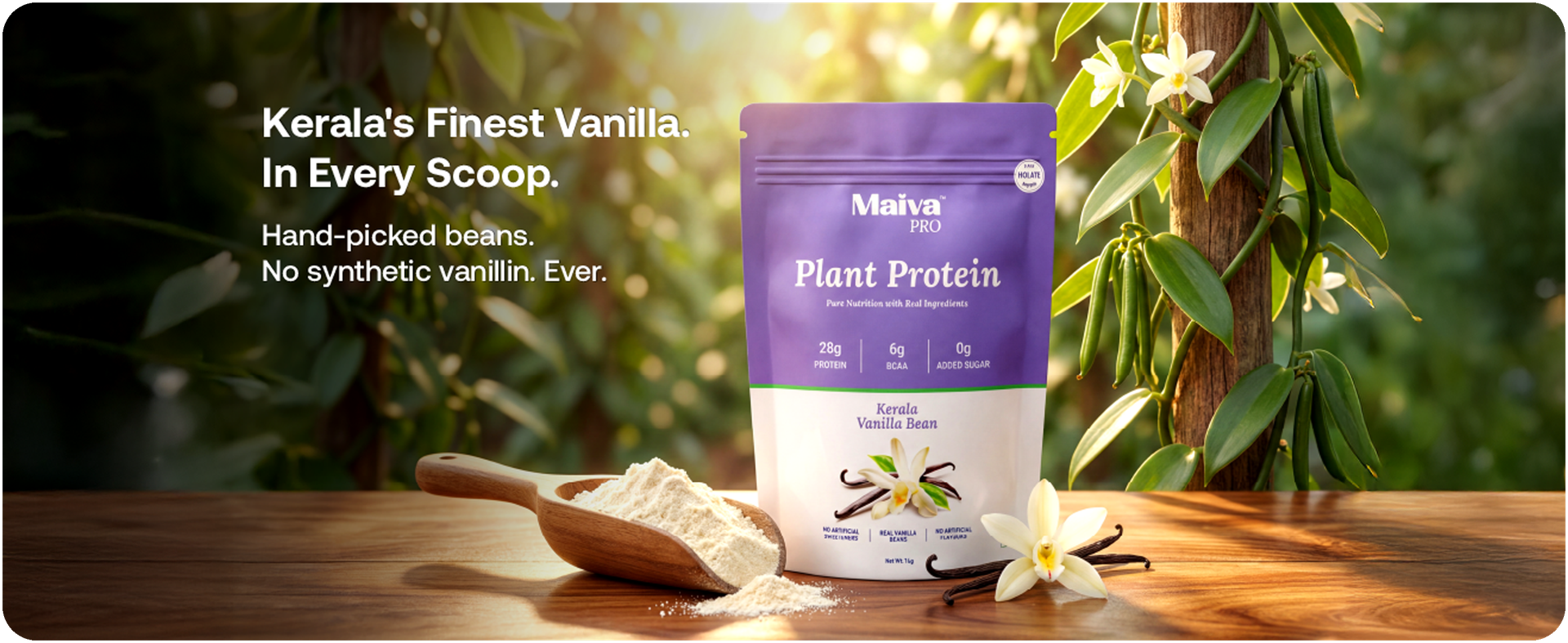 Maiva Pro Plant Protein Powder - 250g - Kerala Vanilla Bean (Vanilla) | 28g Protein, Pea Protein Isolate | No Artificial Sweeteners | Easy to Digest, Light on Stomach | No Bloating | Vegan, Lactose Free