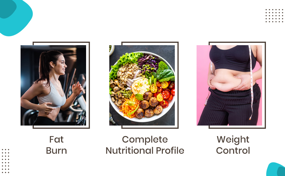 Slim Shake Pro Protein Powder-Meal Replacement Shake For Weight Control & Management-Sugar Free,Healthy,(7g Protien 4G fiber 24 Vitamins&Minerals) For Men & Women-500 Gm (Chocolate)