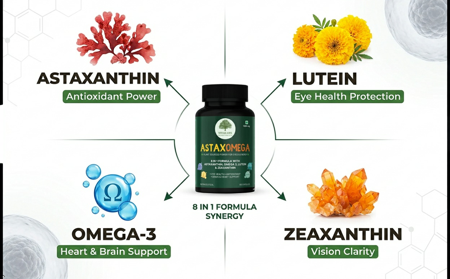 VITAL LIFE AstaxOmega 8 in 1 Formula, 60 Veg Capsules
