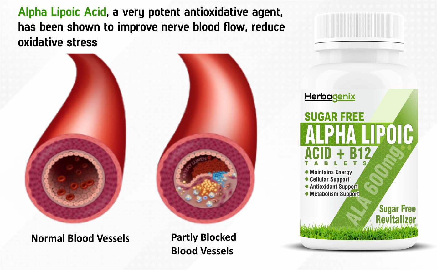 Alpha Lipoic Acid 600mg - ALA with Vitamin B12 Supplements for Nerves and Good Health 60 Tab (99% A Lipoic)