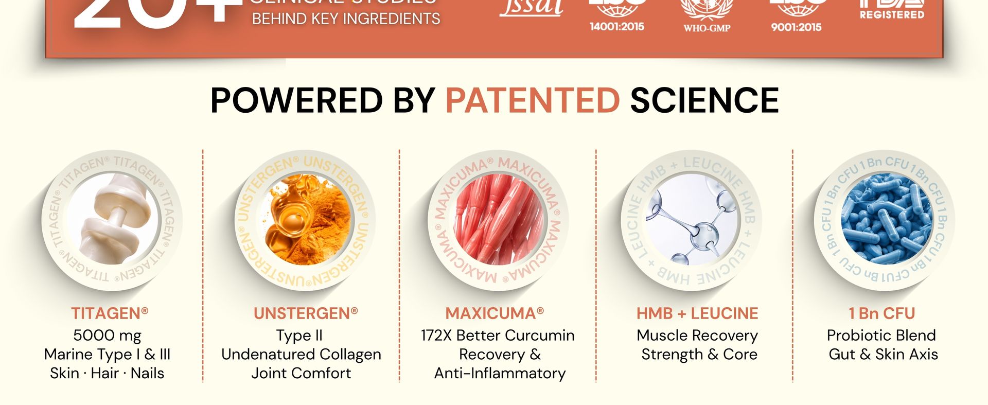 Young™ in you | Structural Triple Collagen & Antioxidant Nutrition™ | MaxCuma®+ Clinically Proven Type I,II & III Collagen + Hyaluronic Acid + Vit.C + Biotin + Zinc | Skin, Hair, Nails, Bones & Joints