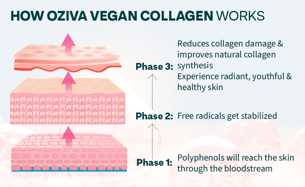 OZiva Plant Based Collagen Builder for Glowing & Youthful Skin | Collagen Powder for Women & Men | With Biotin, Silica & Vitamin C (Collagen Berry Orange + Biotin Xtra)