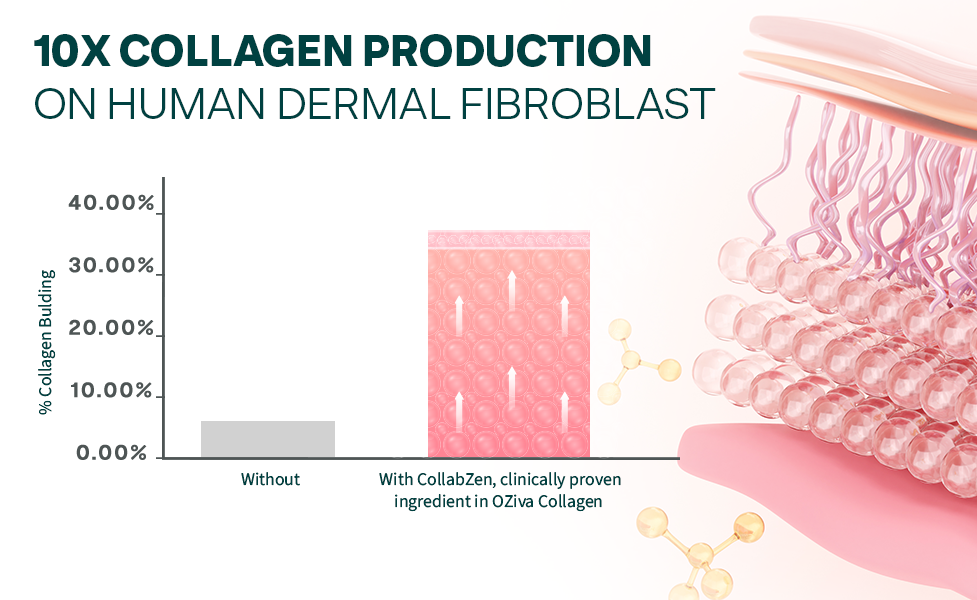 OZiva Plant Based Collagen Builder for Glowing & Youthful Skin | Collagen Powder for Women & Men | With Biotin, Silica & Vitamin C (Collagen Berry Orange + Biotin Xtra)