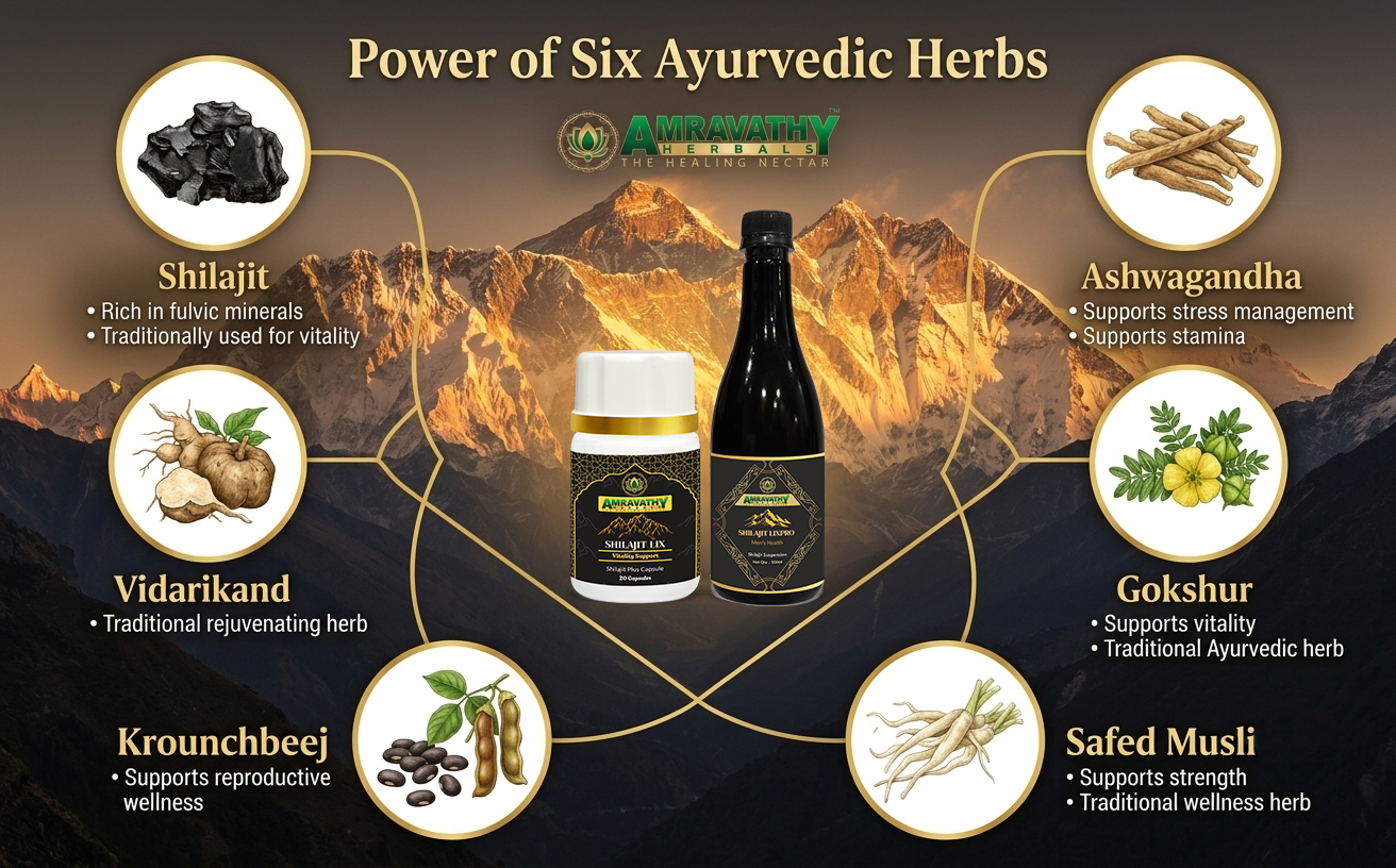 Shilajit LixPro Suspension 500ml with FREE Shilajit Lix Plus Capsules (20 Capsules) | Men's Vitality, Stamina & Energy Support | Ayurvedic Herbal Wellness Combo