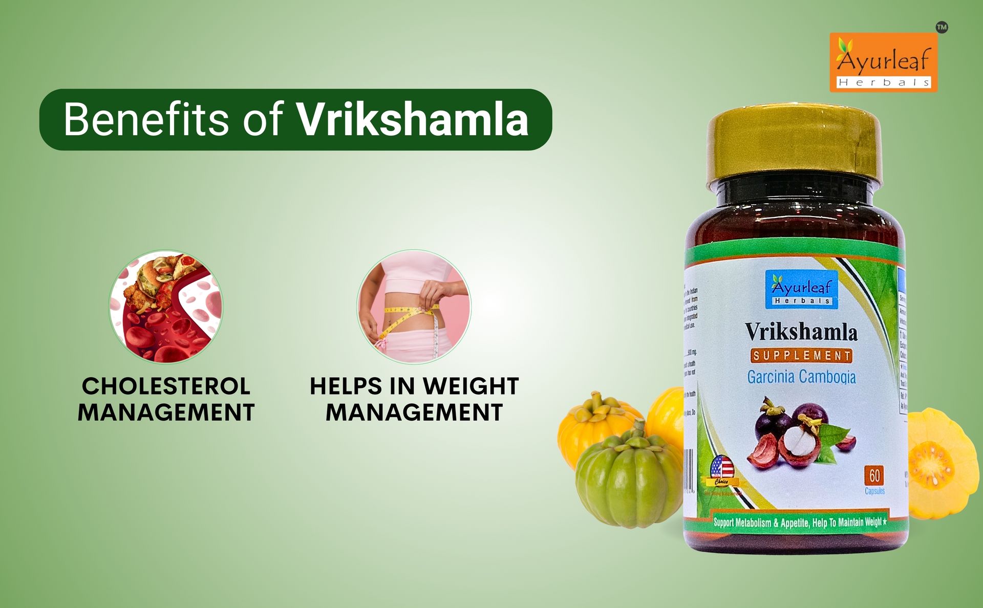 Ayurleaf Herbals Vrikshamla Capsules | Helpful to Manage Weight and Reduce Cholesterol | Improve Digestive Health and Appetite Suppression |100% Natural Herb (Pack of 2, 120 Capsules)