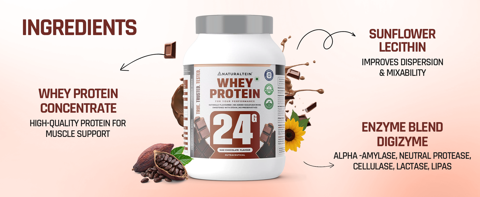 NATURALTEIN Whey Protein – 24g Protein per Serving | Max Chocolate Flavour | Stevia Sweetened | No Added Sugar | Non-GMO | Soy-Free & Gluten-Free | Smooth Texture & Super Mixability | 1 kg