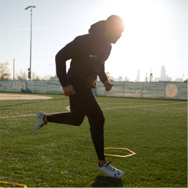 Optimum Nutrition L-Glutamine Muscle Recovery Capsules, 240 Ct