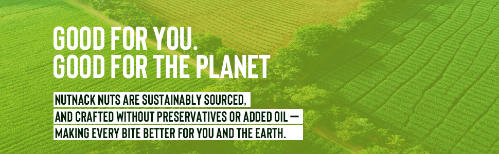 NUTNACK | Lime And Mint Peanuts | Zero Added Oil Extra Crunch Peanut Snack With Tangy Lime And Refreshing Mint Flavour | Travel Friendly Ready To Eat Snack | 45g
