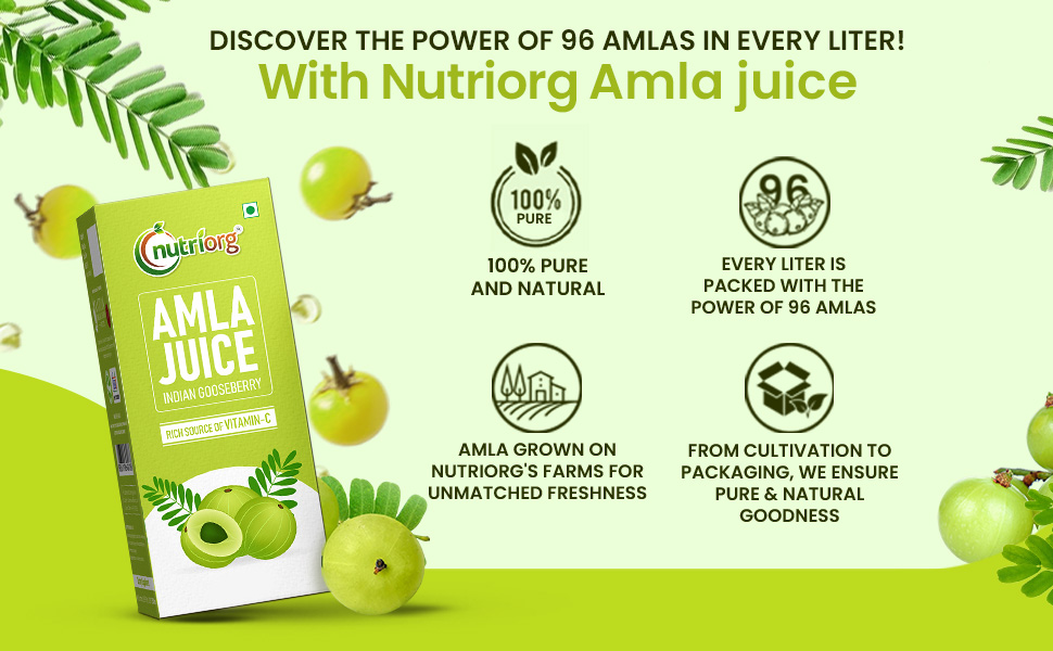 Nutriorg Natural Amla Juice 1 Ltr | Pure, Cold pressed & Pulp Extracted | No added sugar | Rich in Vitamin C | Beneficial for a Healthy Hair & Skin