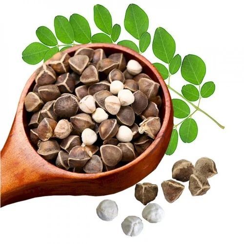 DIETS ORGANICS Murungai seeds -100 g/Natural Moringa seeds/Moringa seeds/DRUMSTICK seeds raw -100Gms pack of 1