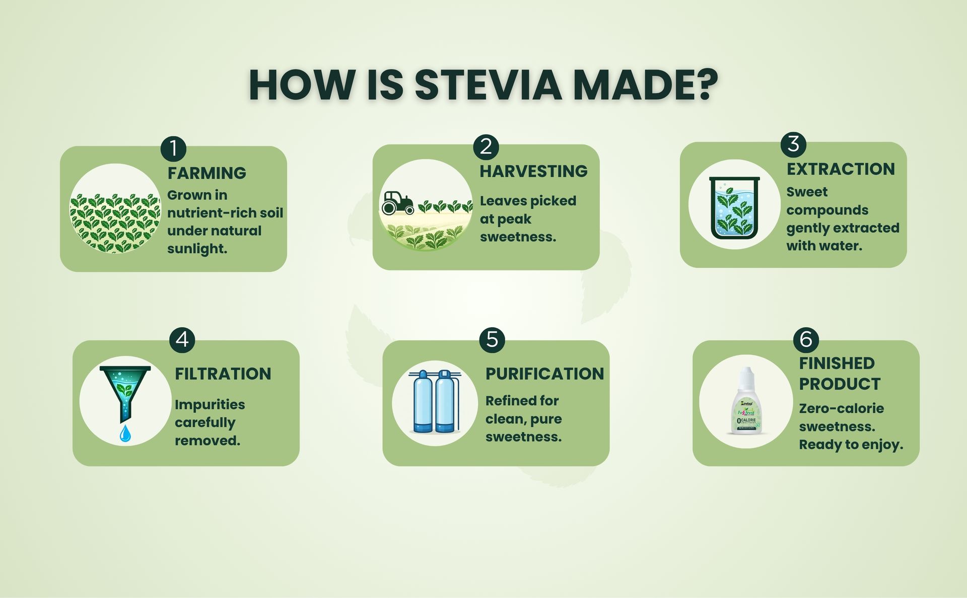 Zindagi Stevia Liquid Drops | Stevia Sugar Free & Zero Calorie Sweetener | (10 Ml)