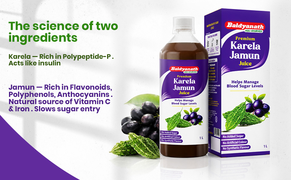 Baidyanath Premium Karela Jamun Juice - 1L (Pack of 2) | Supports Healthy Blood Sugar Levels Naturally |