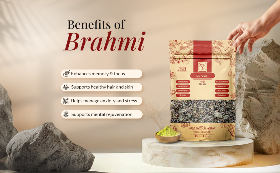 Dr Arya’s Dry Brahmi Leaves 100g | Natural Sun-Dried Bacopa Monnieri | For Calm Herbal Tea, Ayurveda and DIY Use (Pack of 1)