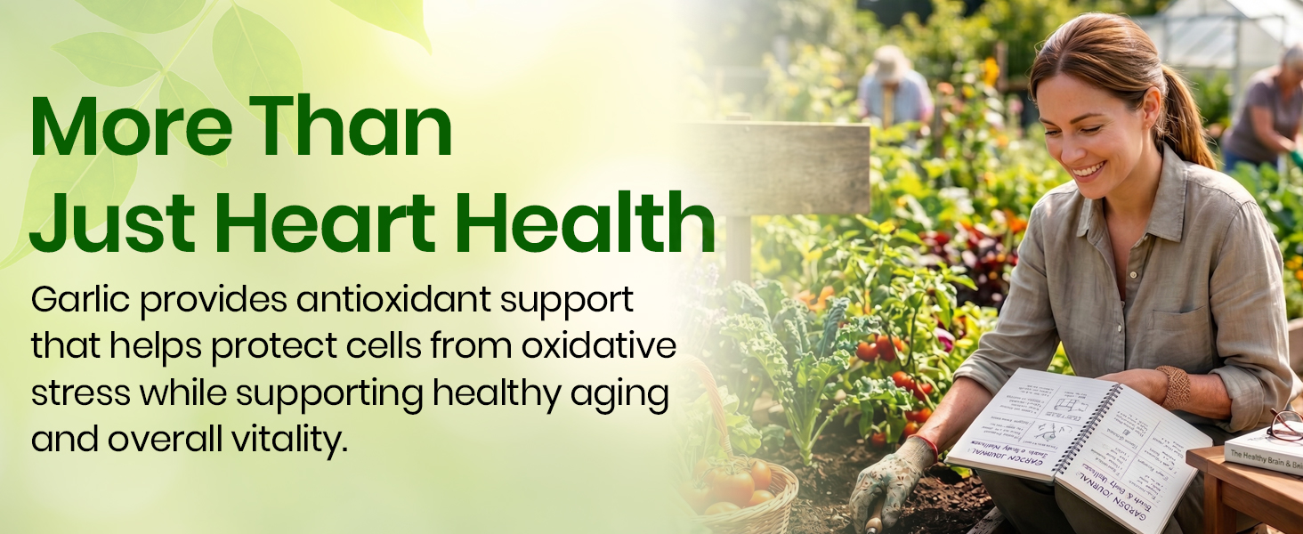 Vlado’s Himalayan Organics Garlic 500Mg Supplement - 60 Veg Capsules | Extract (1:13) Allium Sativum - 2 % For Heart Health, Digestion & Cholesterol Support | Boost Immunity, Supports Blood Pressure & Cardiovascular Wellness | Natural Antioxidant