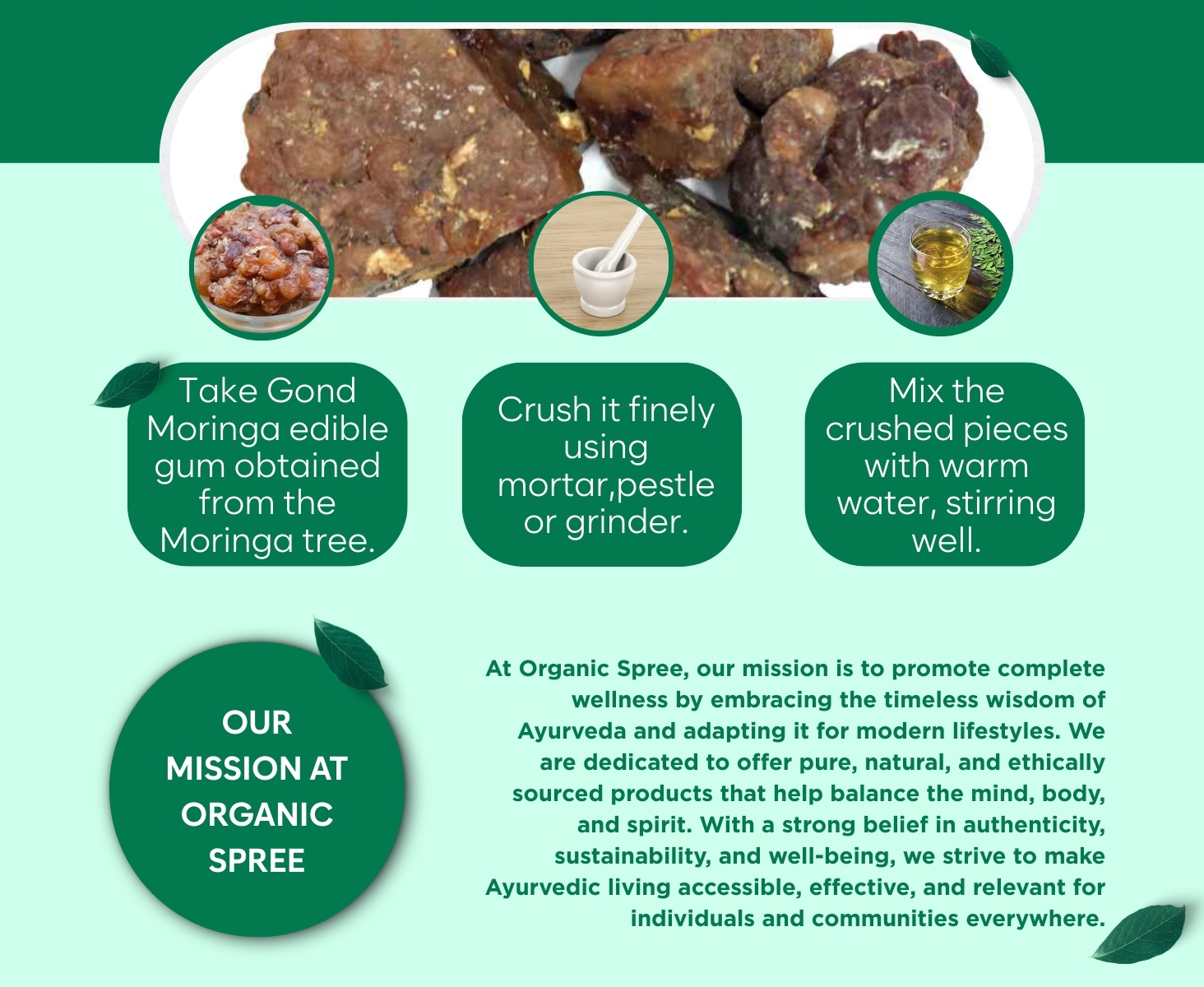 Organic Spree Gond Moringa 150grams | Moringa Gum | Edible Sahjan Gum | Pure, Natural & Plant Based (Pack of -1)