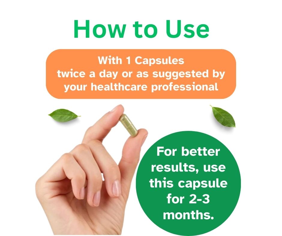 One Tree by Herbal Homes Methi/Fenugreek 500mg Extract - 60 Vegan Capsule
