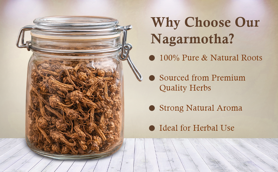 Nagarmotha Root 100gm (Raw) | Nagarmotha | Cyperus Rotundus Rhizome | Cyperus Rotundus Rhizome - Nut Sedge Root - Pure & Natural (100 Grams)
