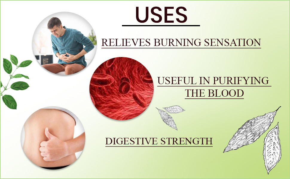 NeutraVed Combo Gurmar Powder, Karela and Jamun Seed for Blood Sugar Management (3 x 100g = Total 300g)