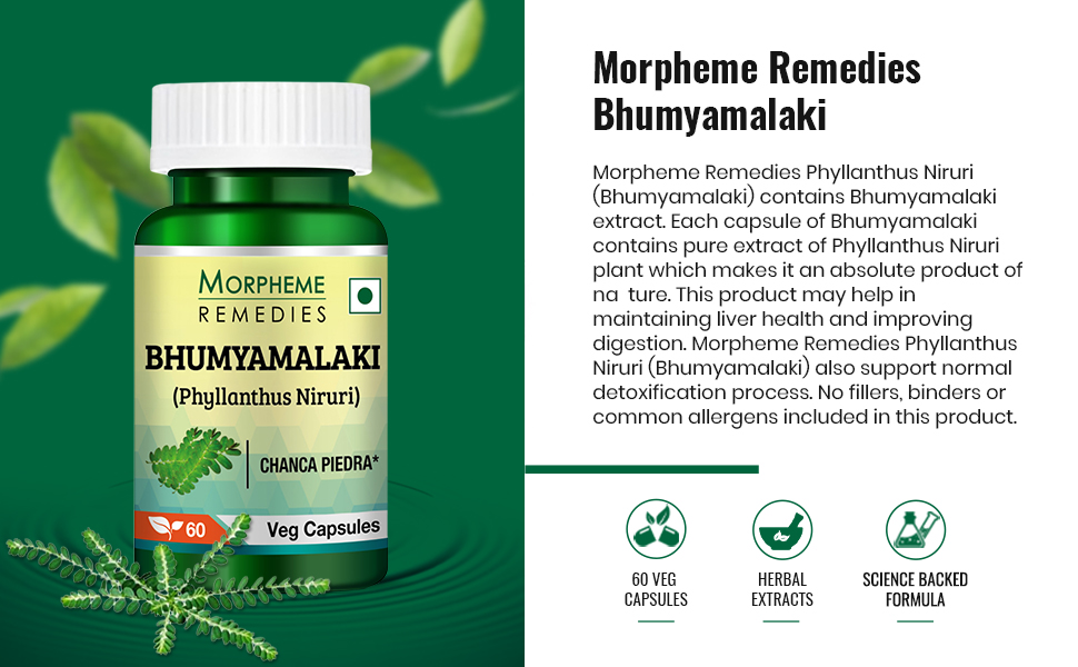 Morpheme Remedies Phyllanthus Niruri Bhumyamlaki 500 mg - 60 Veg Capsules