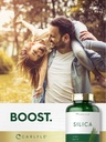 carlyle-silica-supplement-capsules-200-c-6.jpg