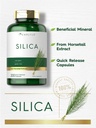 carlyle-silica-supplement-capsules-200-c-3.jpg