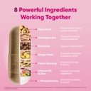 hormify-hormone-balance-for-women-hormon-3.jpg